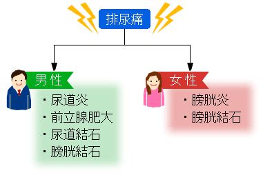 オナニー 頻尿|「尿道自慰行為による長期的な頻尿」に関する医師の回答